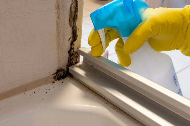 Best Office Mold Removal Services  in Newmanstown, PA